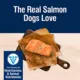 Product Blue Buffalo® True Solutions™ Perfect Coat All Life Stages Dry Dog Food - Salmon