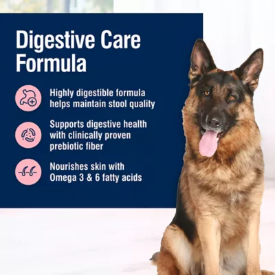 Product Blue Buffalo® True Solutions™ Blissful Belly Digestive Care Adult Wet Dog Food - 12.5 oz