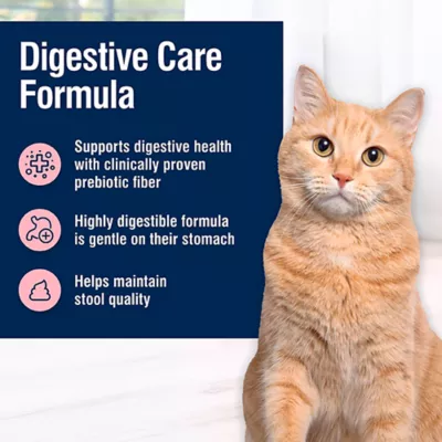 Product Blue Buffalo True Solutions Blissful Belly Digestive Care Dry Cat Food - Natural, Chicken