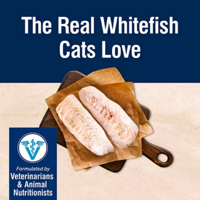 Product Blue Buffalo True Solutions All Life Stages Wet Cat Food - Natural, 3 Oz.
