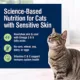 Product Blue Buffalo True Solutions All Life Stages Wet Cat Food - Natural, 3 Oz.