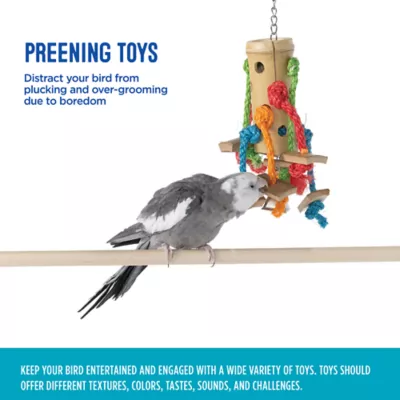 Product All Living Things® Bamboo Spider Bird Toy