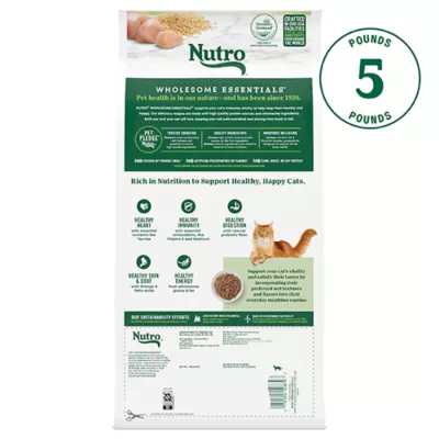Product Nutro Wholesome Essentials™ Senior Dry Cat Food - Non-GMO, Natural, Chicken & Brown Rice
