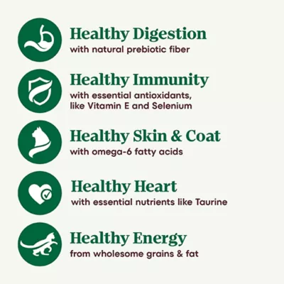 Product Nutro Wholesome Essentials™ Senior Dry Cat Food - Non-GMO, Natural, Chicken & Brown Rice
