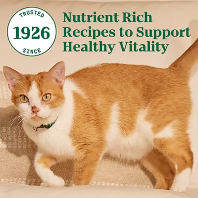 Product Nutro Wholesome Essentials™ Senior Dry Cat Food - Non-GMO, Natural, Chicken & Brown Rice