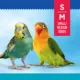 Product All Living Things® Grass Mat Bird Toy