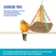 Product All Living Things® Grass Mat Bird Toy