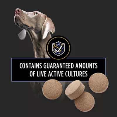 Product Purina® Pro Plan® Veterinary Supplements FortiFlora Chewable Tablets Dog Supplement - 45 Count