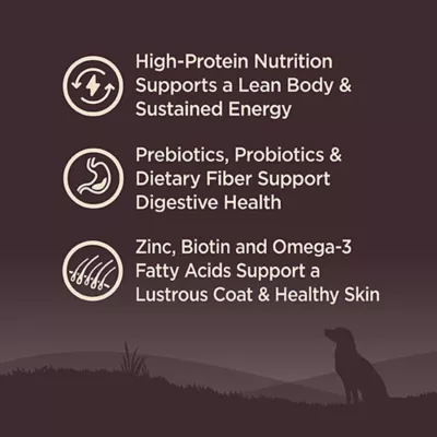 Product Wellness® CORE® High Protein With-Grain Adult Dry Dog Food - Ocean