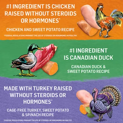 Product Beyond Adult Wet Cat Food - Poultry Variety Pack, 85 g x 12