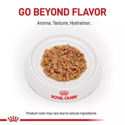 Product Royal Canin® Feline Health Nutrition Indoor Adult Wet Cat Food - 3 oz