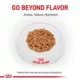 Product Royal Canin® Feline Health Nutrition Indoor Adult Wet Cat Food - 3 oz