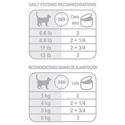 Product Royal Canin® Feline Health Nutrition Indoor Adult Wet Cat Food - 3 oz