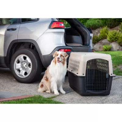 Product Top Paw® Portable Dog Carrier