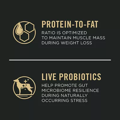 Product Purina Pro Plan Weight Management Shredded Blend Small Breed Adult Dry Dog Food - Chicken & Rice