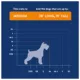 Product Top Paw® Double Door Folding Wire Dog Crate with Divider Panel