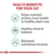 Product Royal Canin Feline Adult Dry Cat Food Care Nutrition, Urinary Care