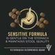 Product Purina Pro Plan Sensitive Skin & Stomach Large Breed Adult Dry Dog Food - Salmon & Rice