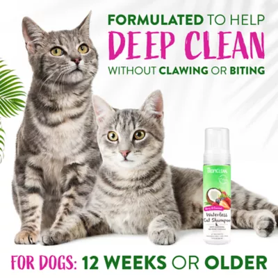 Product TropiClean® Deep Cleansing Waterless Cat Shampoo - Berry & Coconut
