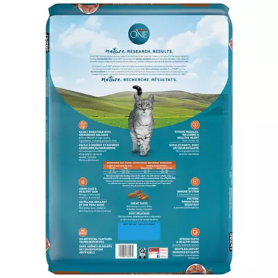 Product Purina ONE Microbiome Balance Dry Cat Food - Chicken & Rice Formula