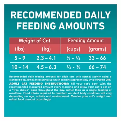 Product Purina ONE Microbiome Balance Dry Cat Food - Salmon & Rice Formula