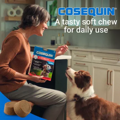 Product Nutramax® Cosequin® Joint Health Supplement for Senior Dogs - Maximum Strength Soft Chews - 60 Count