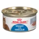 Product Royal Canin Feline Adult Wet Cat Food, Care Nutrition, Weight Care - Loaf in Sauce Pate