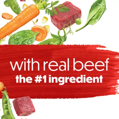 Product Beneful Originals Dry Dog Food - Real Beef