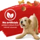 Product Beneful Originals Dry Dog Food - Real Beef