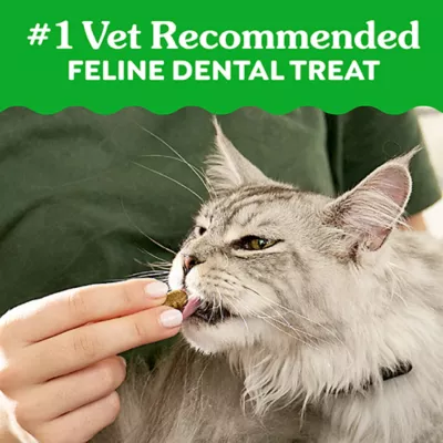 Product Greenies™ Feline Greenies Adult Cat Dental Treats - Dental Care, Natural, Catnip