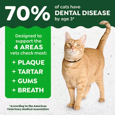 Product Greenies™ Feline Greenies Adult Cat Dental Treats - Dental Care, Natural, Catnip