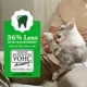 Product Greenies™ Feline Greenies Adult Cat Dental Treats - Dental Care, Natural, Catnip
