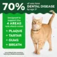 Product Greenies™ Feline Greenies Adult Cat Dental Treats - Dental Care, Natural, Tuna