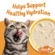 Product Purina® Friskies® Lil' Soups® Cat Food Complement - 1.2oz