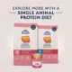 Product Natural Balance Limited Ingredient Diets Adult Dry Dog Food - Salmon & Brown Rice