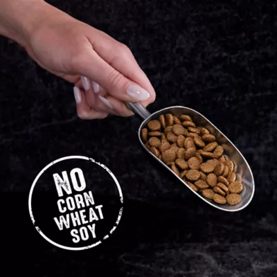 Product Crave High Protein Adult Dry Cat Food - Grain Free, Chicken