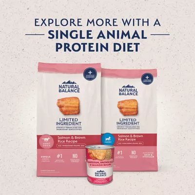 Product Natural Balance Limited Ingredient Diets Adult Dry Dog Food - Salmon & Brown Rice