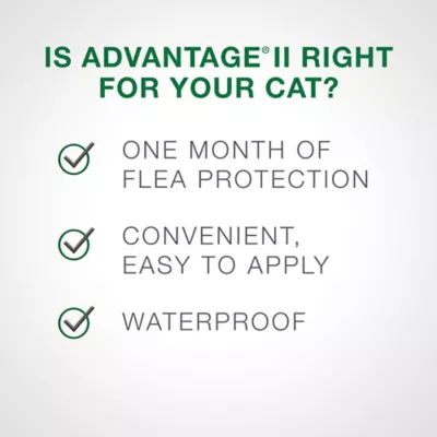 Product Advantage® II Small Cat Once-A-Month Topical Flea Treatment for Cats 2.3 to 4 kg