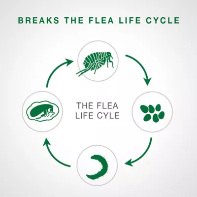 Product Advantage® II Once-A-Month Topical Flea Treatment for Dogs Under 4.5 kg