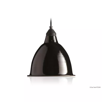 Product Exo Terra® Reptile Dome