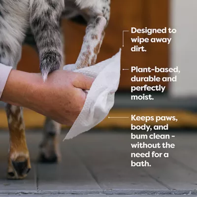 Product Earth Rated Laveder Scented Dog Wipes, 100 Count