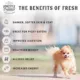 Product Freshpet® Homestyle Creations All Life Stage Dog Food - Fresh, Beef, Chicken & Turkey