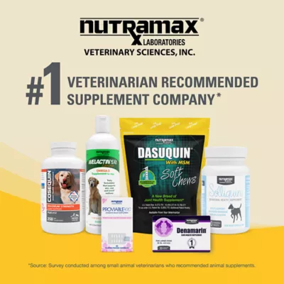 Product Nutramax® Dasuquin® with MSM - Soft Chew Joint Health Supplement for Large Dogs - 84 Count