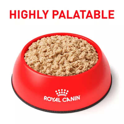 Product Royal Canin® Veterinary Diet Recovery Adult Cat & Dog Ultra Soft Mousse Wet Food  5.1 oz can