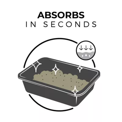 Product Arm & Hammer AbsorbX Lightweight Clumping Unscented Cat Litter