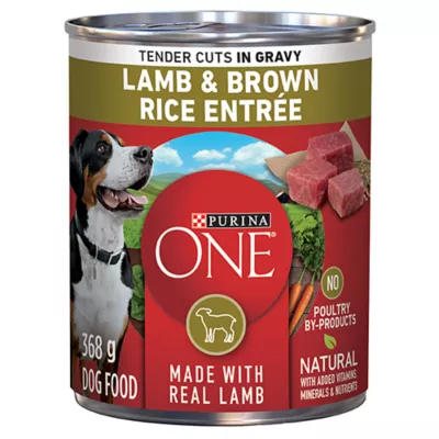 Product Purina ONE Wet Dog Food Tender Cuts in Gravy - Lamb & Brown Rice Entrée, 368g