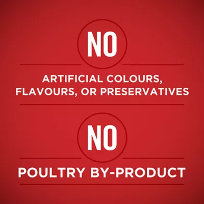 Product Purina ONE Wet Dog Food Tender Cuts in Gravy - Lamb & Brown Rice Entrée, 368g