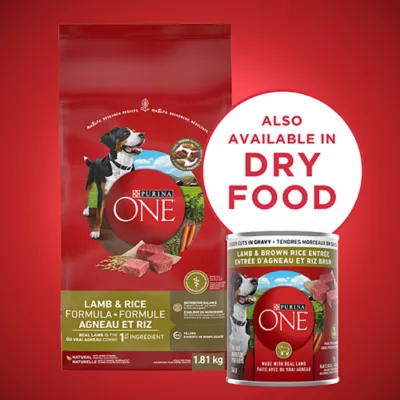 Product Purina ONE Wet Dog Food Tender Cuts in Gravy - Lamb & Brown Rice Entrée, 368g