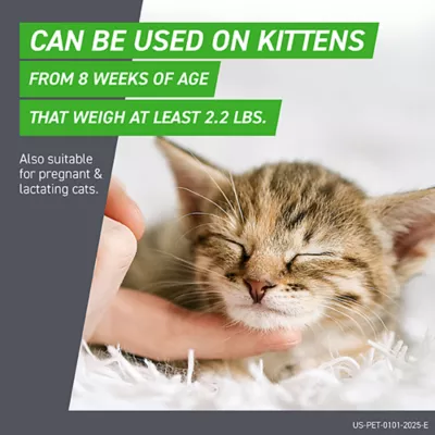 Product Frontline Plus Cat Flea & Tick Treatment