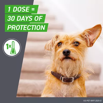 Product Frontline Plus Flea & Tick Dog Treatment 89-132 lbs